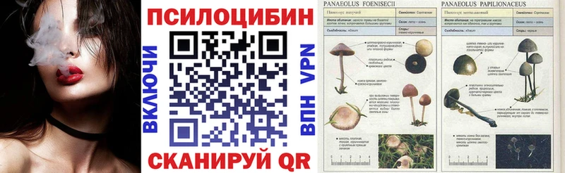 Галлюциногенные грибы мицелий Купино