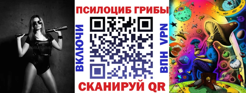 blacksprut ссылка Купино Галлюциногенные грибы Cubensis где купить наркотик